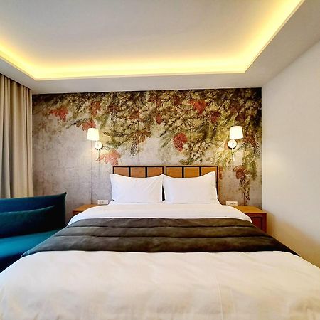 Pensiunea Leonida - Resort Leonida Пояна-Цапулуй Экстерьер фото