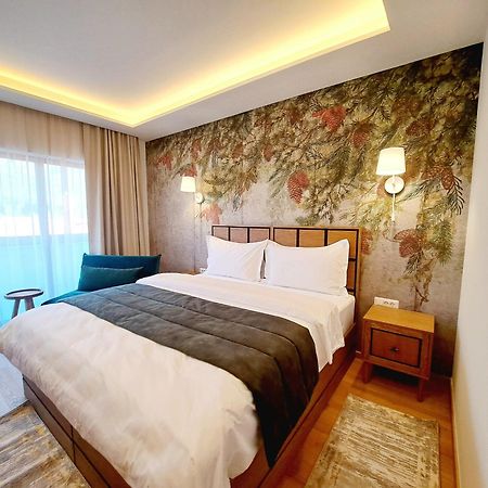 Pensiunea Leonida - Resort Leonida Пояна-Цапулуй Экстерьер фото